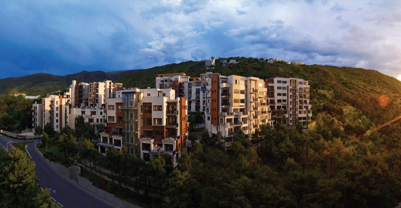 “მეტრას” სტანდარტი