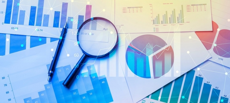 რომელი სექტორი უნდა იყოს საქართველოში პრიორიტეტი?