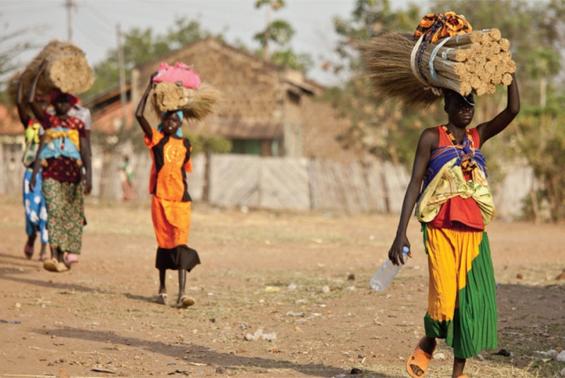 Fastest in the World