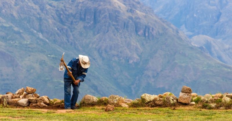 რომელ ქვეყნებში მუშაობენ ყველაზე სწრაფად