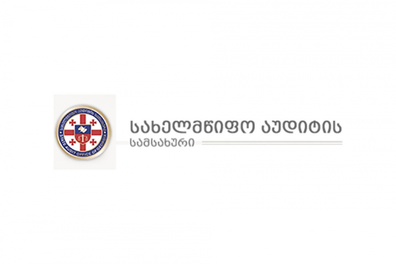პოლიტიკოსები და პარტიები ყველაზე “მსხვილი დამფინანსებლებით”