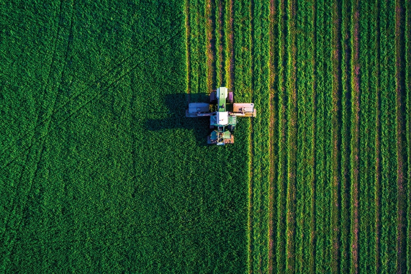 მონაცემთა ფერმა