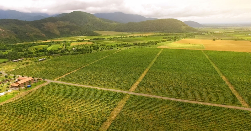 Why is Agriculture Stagnating?