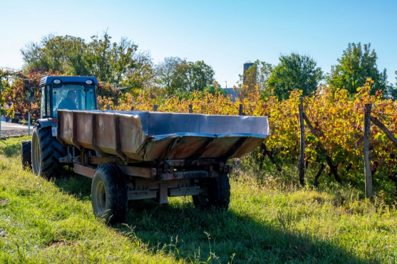 საქართველოს სოფლის მეურნეობა სახელმწიფოს სოციალური პოლიტიკის ნაწილია