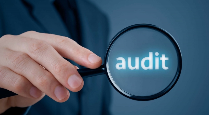 როგორ მართოთ ურთიერთობა თქვენს აუდიტორებთან და მიიღოთ მაქსიმალური სარგებელი აუდიტისგან