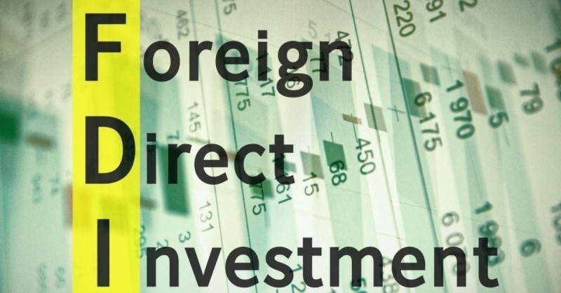 The TOP 10 companies with the highest FDI in Q1, 2019
