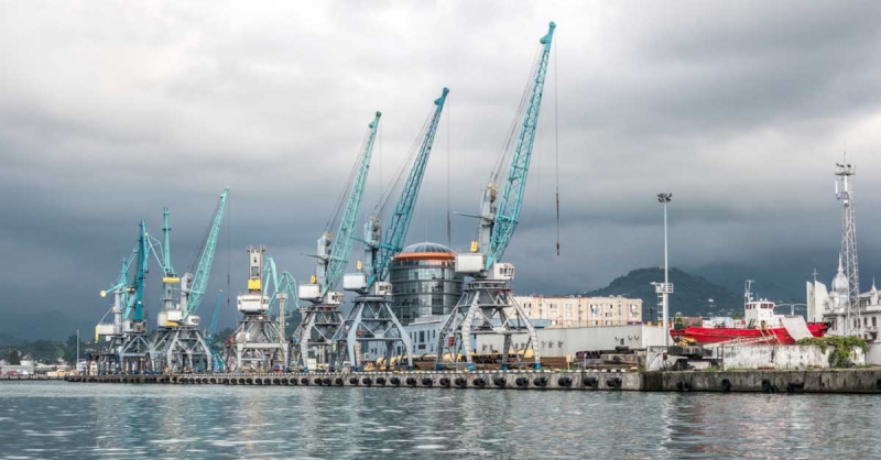 Georgia’s Top Ten Largest Importing Companies