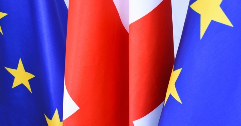 Евросоюз оценивает процесс исполнения обязательств, взявших на себя Грузией