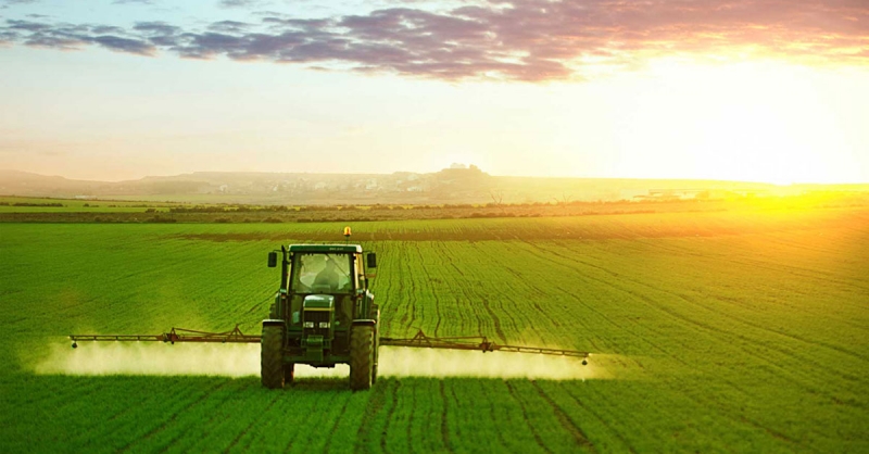 სოფლის მეურნეობის წილი საქართველოს და მსოფლიო ეკონომიკაში