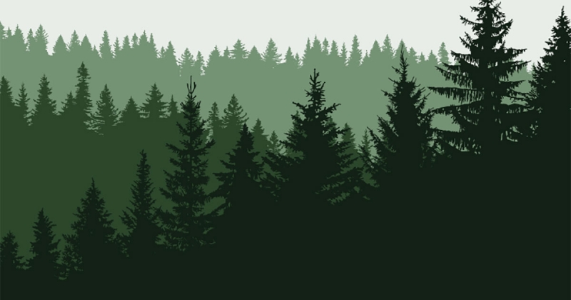 საჩეხეთი