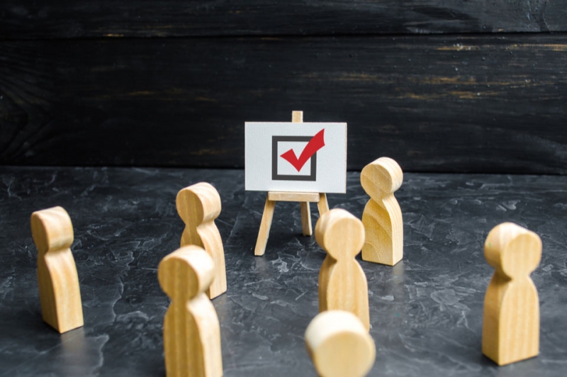 ვის რა დაუჯდა ერთი ხმა?