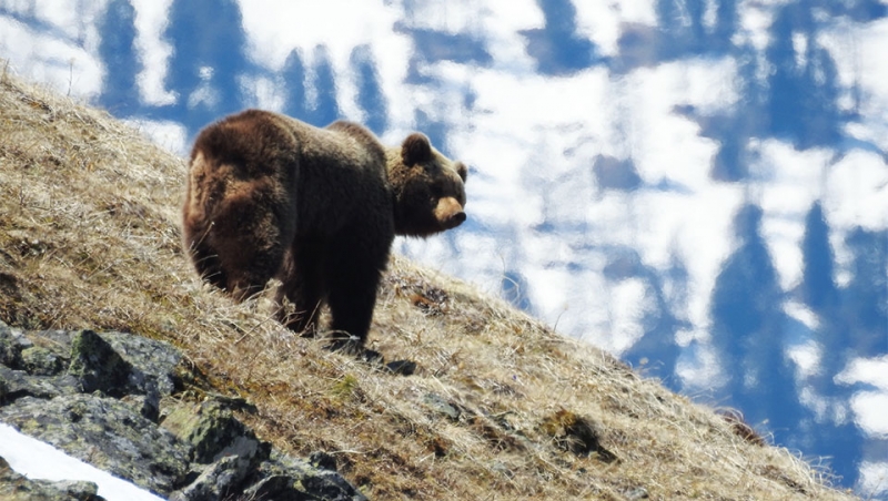 Kazakhstan’s Big Five Game