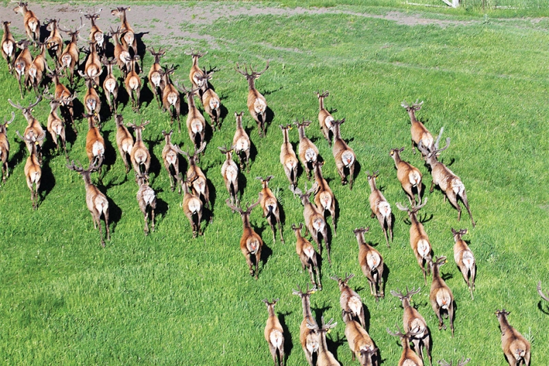 Grabbing health by the horns