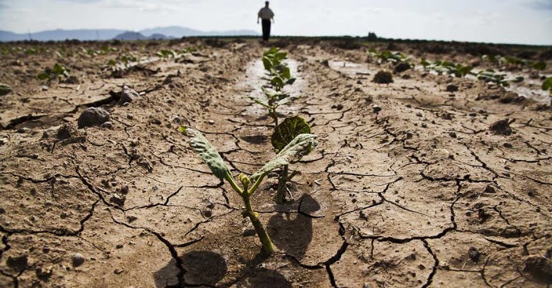 მსოფლიოს 10 ყველაზე ღარიბი ქვეყანა