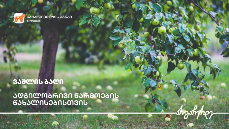 საქართველოს ბანკის ფინანსური მხარდაჭერით გორში ვაშლის ბაღები გაშენდა