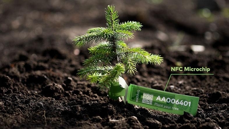 Treepex created Oxyn cryptocurrency