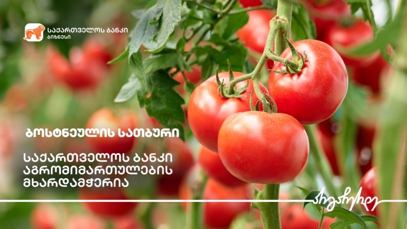 საქართველოს ბანკის მხარდაჭერით კასპში სასათბურე ბიზნესი ფართოვდება