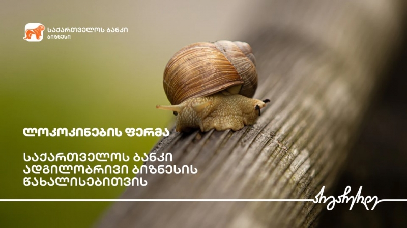 საქართველოს ბანკის მხარდაჭერით ზუგდიდში ლოკოკინების ფერმა გაშენდა