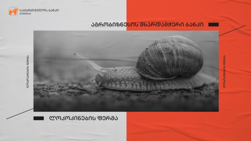 საქართველოს ბანკის მხარდაჭერით  აბაშაში ლოკოკინების ფერმა გაიხსნება