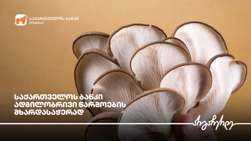 საქართველოს ბანკის მხარდაჭერით სოკოს წარმოება ფართოვდება