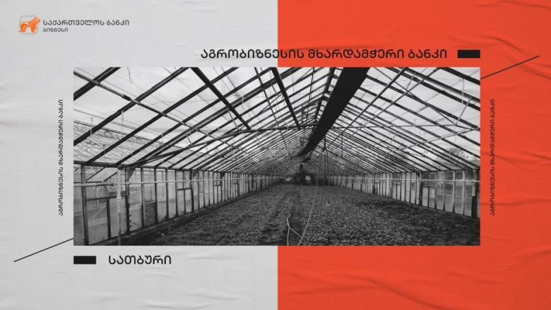 საქართველოს ბანკის ფინანსური მხარდაჭერით წალკაში სასათბურე მეურნეობა აშენდება