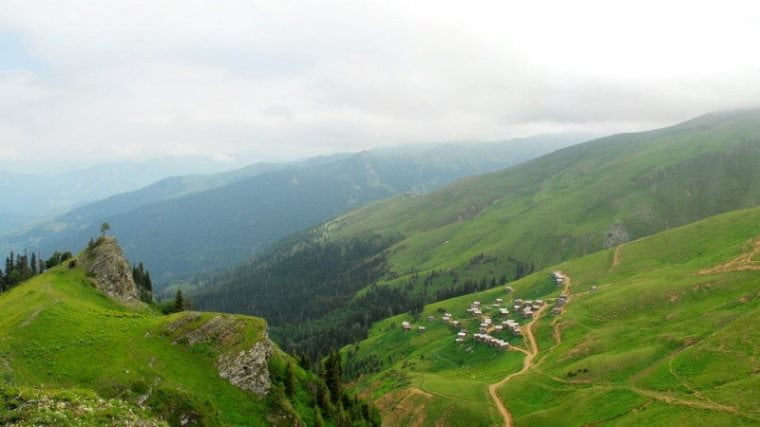 საგადასახადო შეღავათები მაღალმთიანი რეგიონებისთვის