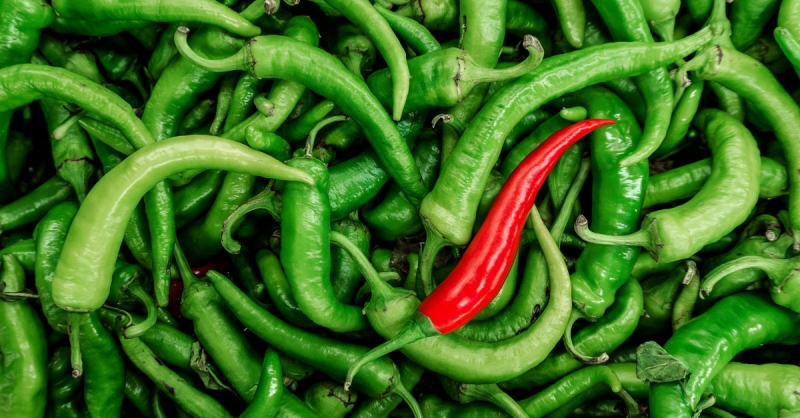 რა გაძვირდა ყველაზე მეტად “ქართული ოცნების” ხელისუფლებაში მოსვლის შემდეგ?