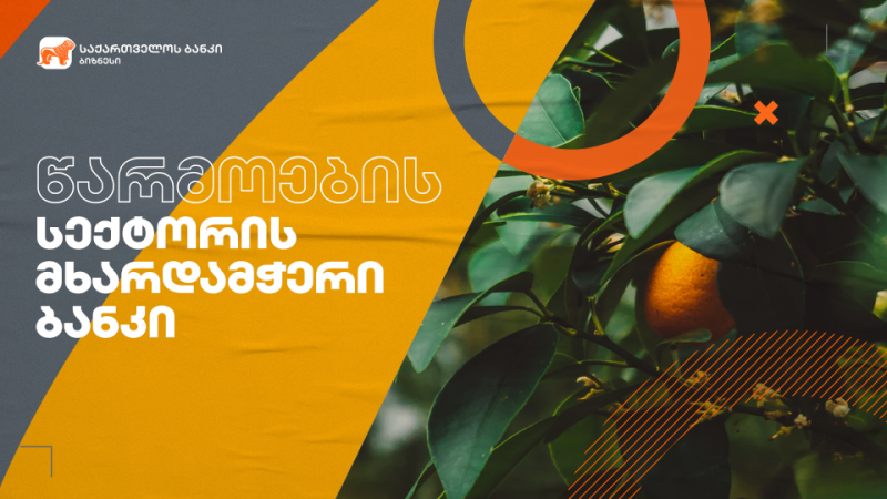 საქართველოს ბანკის მხარდაჭერით ადგილობრივ ბაზარზე კომპანია “Georgia`s Natural”-ის ბრენდი გამოჩნდა