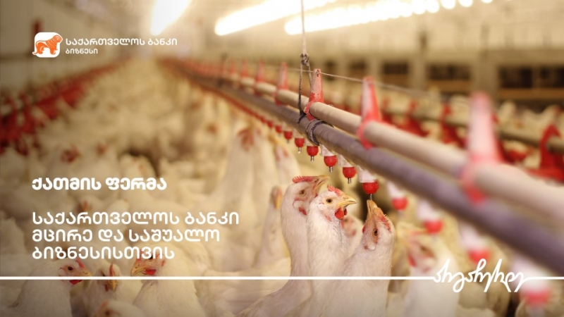 საქართველოს ბანკის მხარდაჭერით გორში ქათმის ფერმა აშენდა