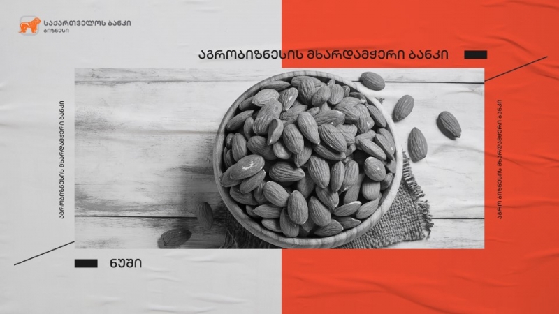 საქართველოს ბანკის მხარდაჭერით სოფელ კოდაში ნუშის ბაღი გაშენდება