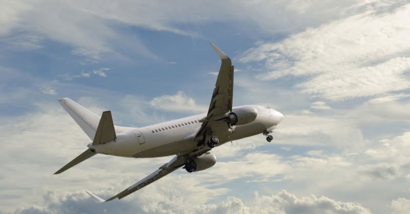 The Leading Players At The Georgian Aviation Market