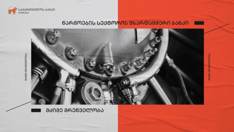 საქართველოს ბანკის ფინანსური მხარდაჭერით შპს “კაია“-მ  ახალი საწარმოო ხაზი გახსნა