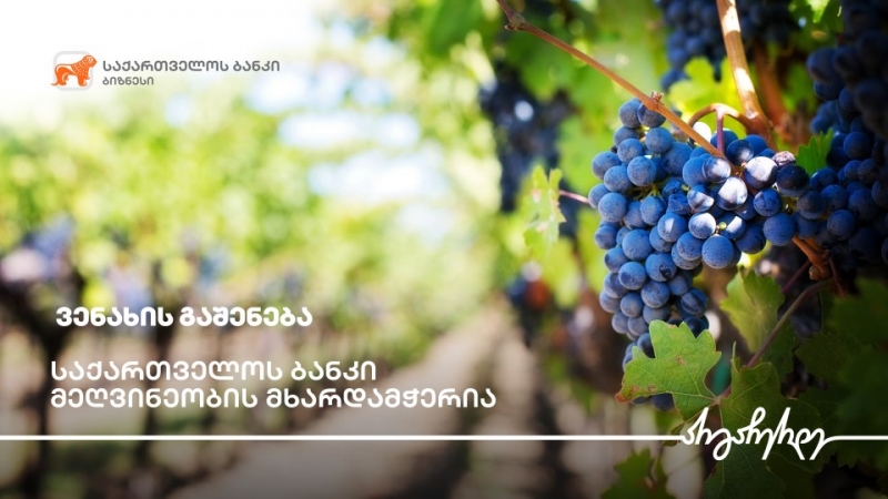 საქართველოს ბანკის მხარდაჭერით ყვარელში ვენახი გაშენდა