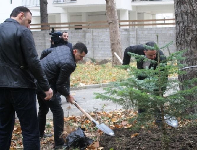 “არქი ჯგუფმა” თბილისში გამწვანება-დასუფთავების აქცია გამართა