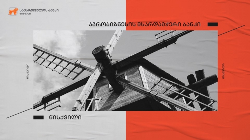 საქართველოს ბანკის მხარდაჭერით გურიაში, სოფელ დვაბზუში წისქვილი აშენდა