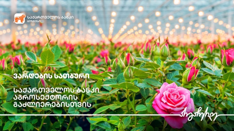 საქართველოს ბანკის მხარდაჭერით ოზურგეთში ვარდების სათბური აშენდა