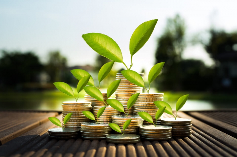 იანვარ-აგვისტოში ბანკების მოგება 8 პროცენტით გაიზარდა