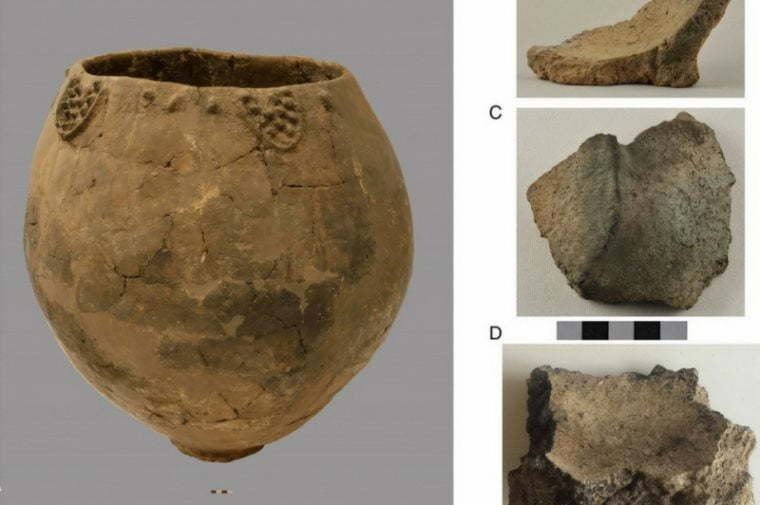 BBC: “მსოფლიოში უძველესი ღვინო” აღმოჩენილია საქართველოში