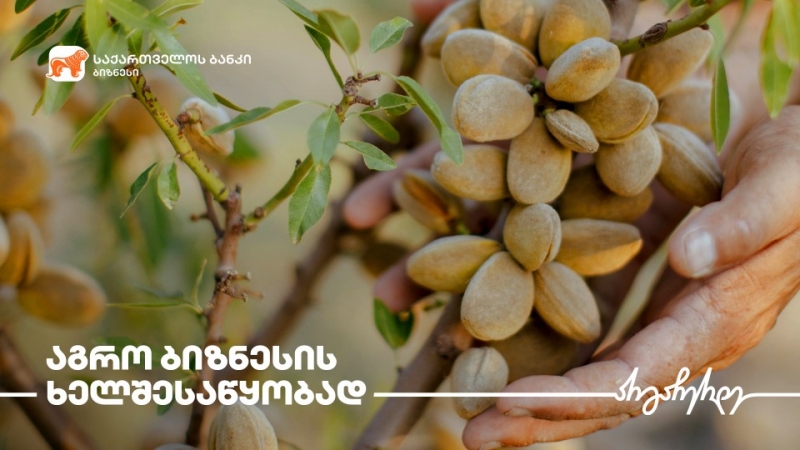 საქართველოს ბანკი მცირე და საშუალო ბიზნესს ახალ აგროპროექტს  სთავაზობს