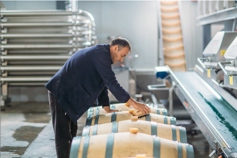 Shilda Winery: Energy Efficient Winery in Georgia