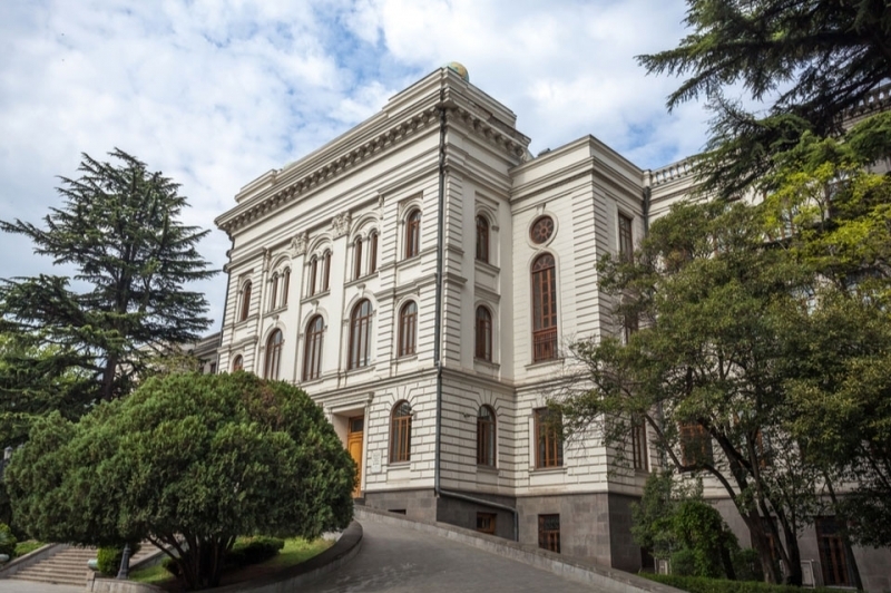 The most demanded universities of the year in Georgia