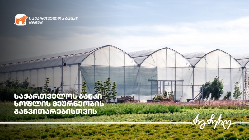 საქართველოს ბანკის  მხარდაჭერით აბაშაში სათბურები აშენდა