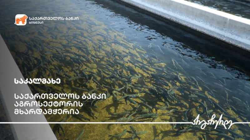 საქართველოს ბანკის  მხარდაჭერით გორში საკალმახე მეურნეობა გაფართოვდა