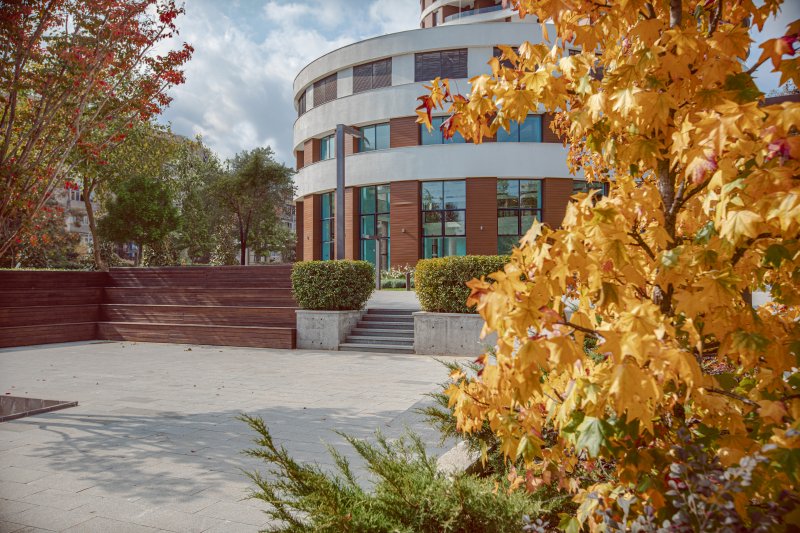 მწვანე კუნძული