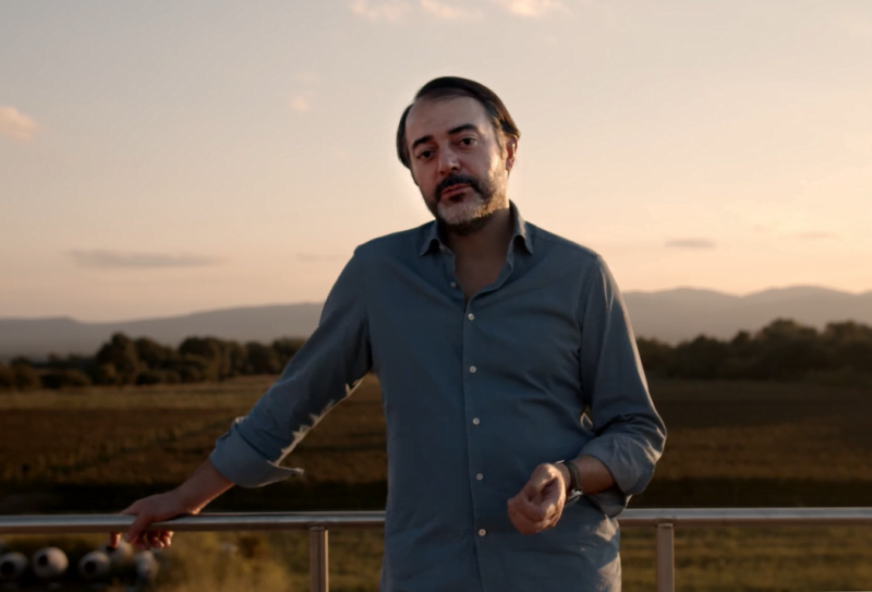 ღვინის ჩემპიონები