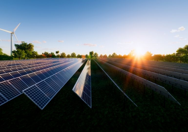 მზის ენერგია სოფლის მეურნეობის სამსახურში – ნიდერლანდებში საპილოტე პროექტი იწყება