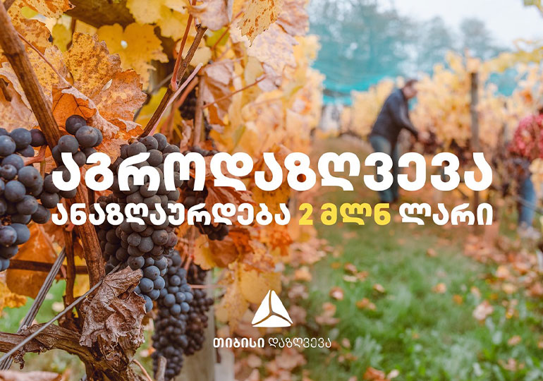 26 აგვისტოს კახეთში სტიქიისგან მიყენებული ზიანი 152 მიწის ნაკვეთს აუნაზღაურდება – თიბისი დაზღვევა