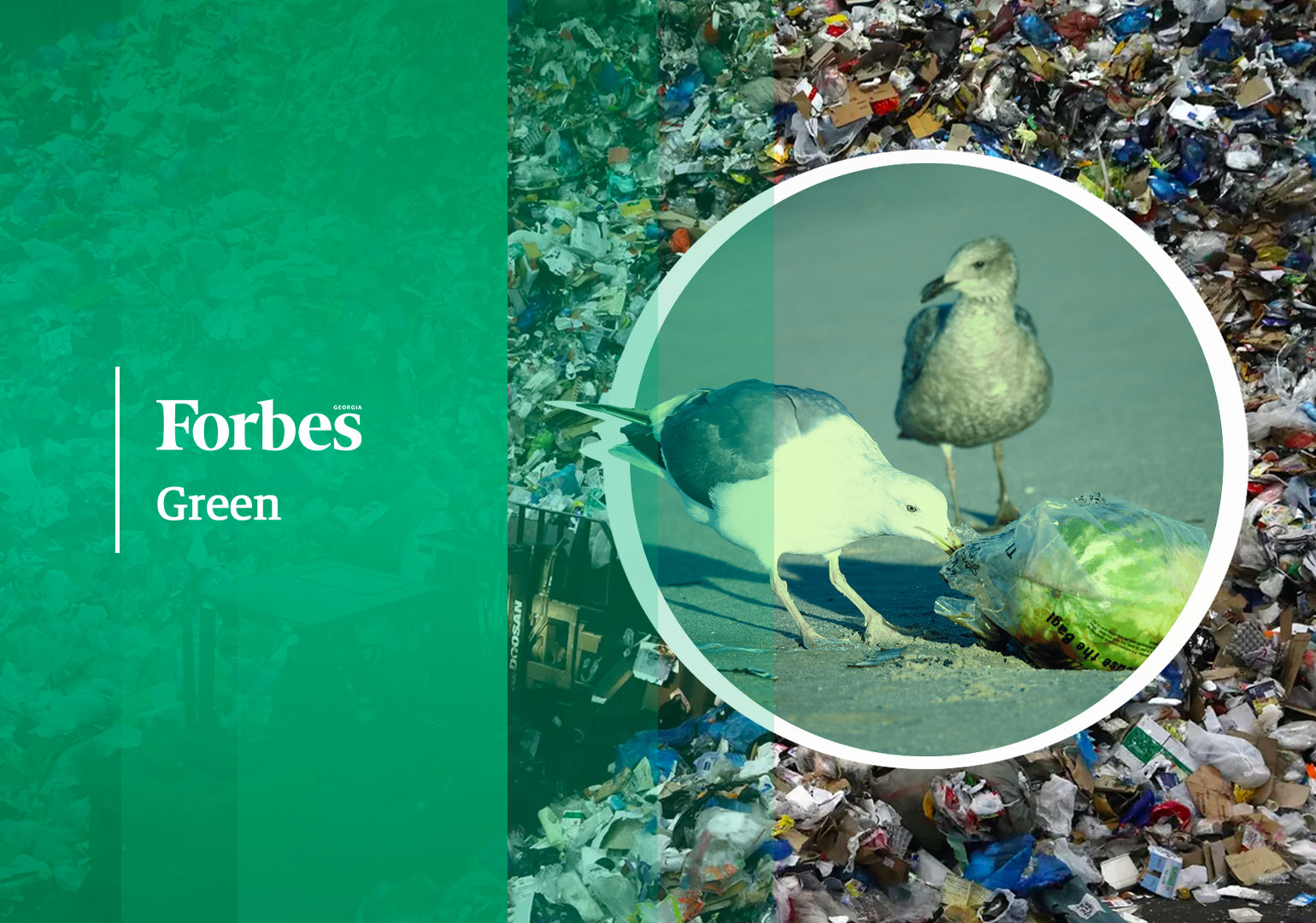 გასული კვირის მნიშვნელოვანი „მწვანე სიახლეები“