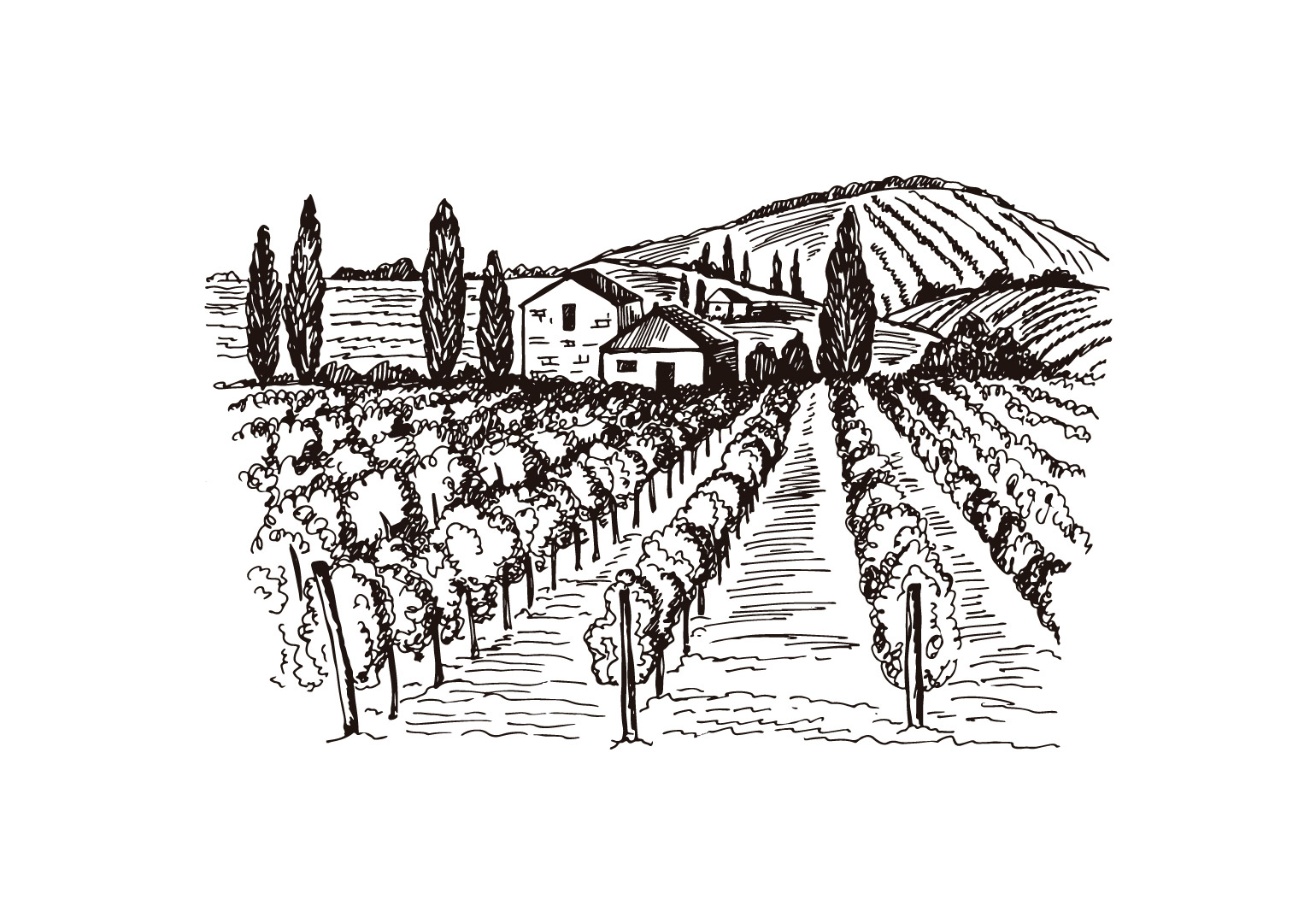 ღვინისა და ბრენდის უმსხვილესი მწარმოებლები