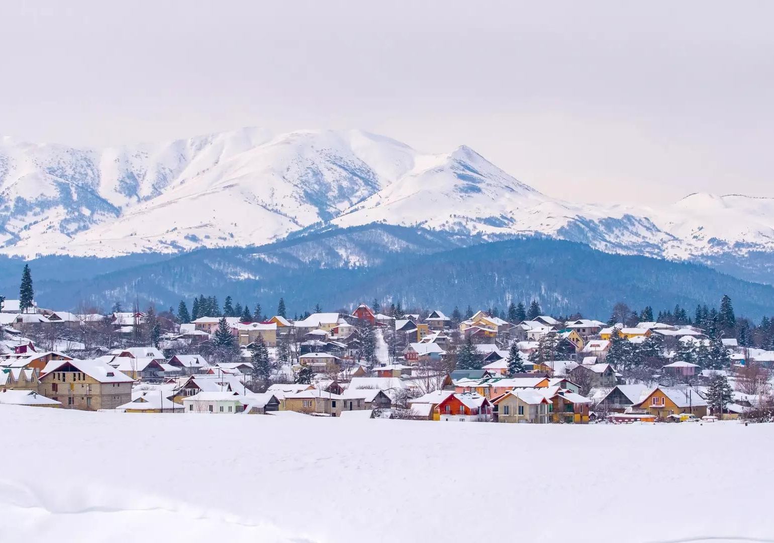 ბაკურიანსა და გუდაურში ბინების გაყიდვები წლიურ ჭრილში საგრძნობლად შემცირდა – Galt & Taggart
